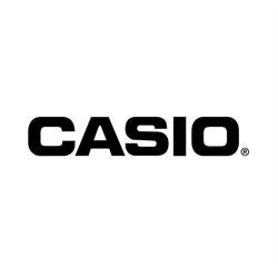 CASIO
